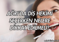 Ağrı’da Diş Hekimi Seçerken Nelere Dikkat Edilmeli?
