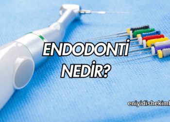 Endodonti Nedir?