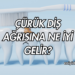 Çürük Diş Ağrısına Ne İyi Gelir?