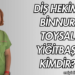 Diş Hekimi Binnur Toysal Yiğitbaşı Kimdir?