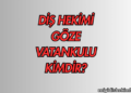 Diş Hekimi Göze Vatankulu Kimdir?
