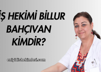 Diş Hekimi Subutay Han Altıntaş Kimdir