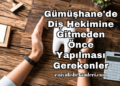 Gümüşhane'de Diş Hekimine Gitmeden Önce Yapılması Gerekenler