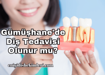 Gümüşhane'de Diş Tedavisi Olunur mu?