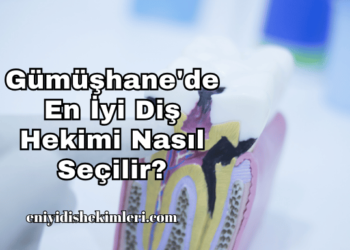 Gümüşhane'de En İyi Diş Hekimi Nasıl Seçilir?