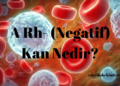 A Rh- Kan Nedir