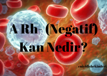 A Rh- Kan Nedir