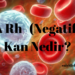 A Rh- Kan Nedir