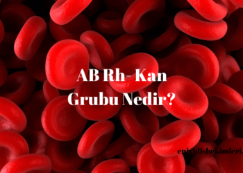 AB Rh- Kan Grubu Nedir?