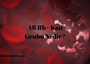 AB Rh+ Kan Grubu Nedir?