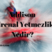 Addison (Adrenal Yetmezlik) Nedir?