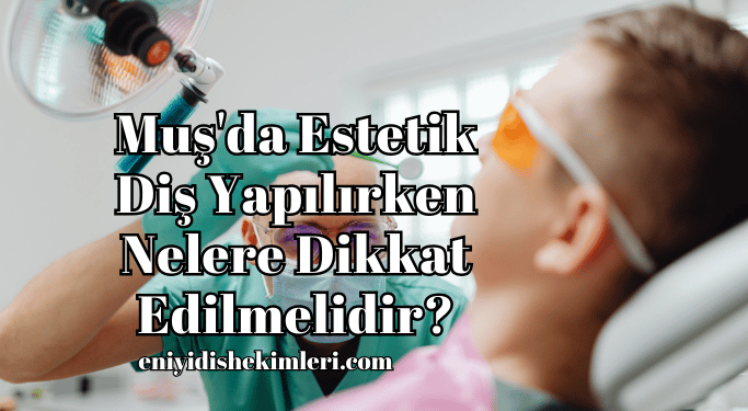 Muş'da Estetik Diş Yapılırken Nelere Dikkat Edilmelidir?