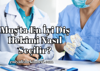 Muş'ta En İyi Diş Hekimi Nasıl Seçilir?