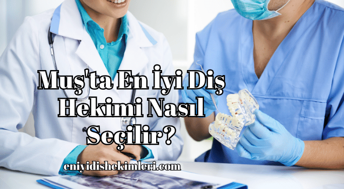 Muş'ta En İyi Diş Hekimi Nasıl Seçilir?
