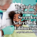 Tekirdağ'da Ortodontist Seçerken Nelere Dikkat Edilmelidir?