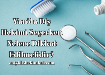 Van'da Diş Hekimi Seçerken Nelere Dikkat Edilmelidir?