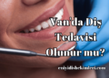 Van'da Diş Tedavisi Olunur mu?