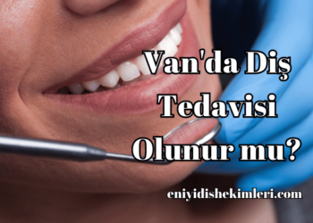 Van'da Diş Tedavisi Olunur mu?
