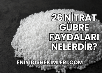 26 Nitrat Gübre Faydaları Nelerdir?