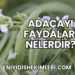 Adaçayı Faydaları Nelerdir?