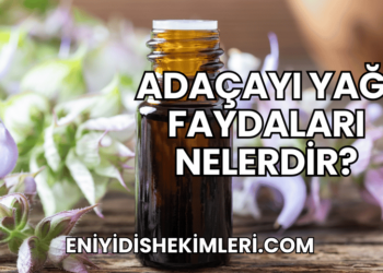 Adaçayı Yağı Faydaları Nelerdir?