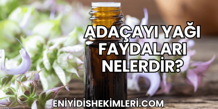 Adaçayı Yağı Faydaları Nelerdir?