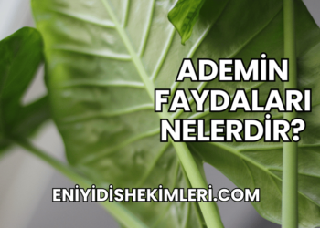 Ademin Faydaları Nelerdir?