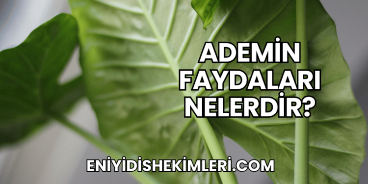 Ademin Faydaları Nelerdir?