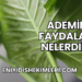 Ademin Faydaları Nelerdir?