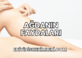Ağdanın Faydaları