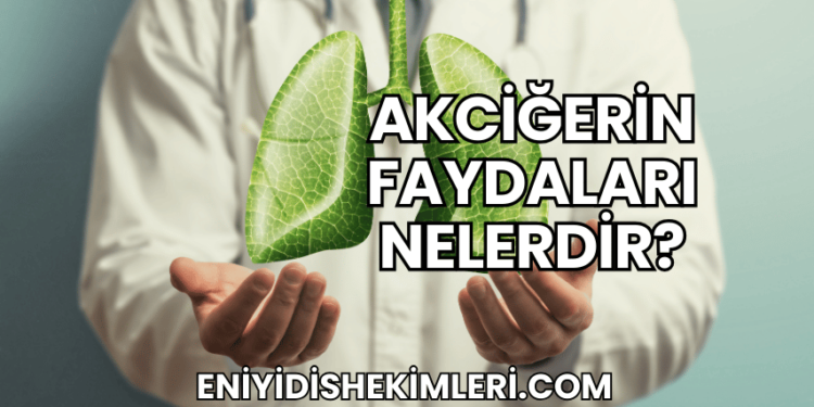 Akciğerin Faydaları Nelerdir?