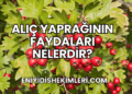 Alıç Yaprağının Faydaları Nelerdir?