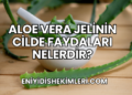 Aloe Vera Jelinin Cilde Faydaları Nelerdir?
