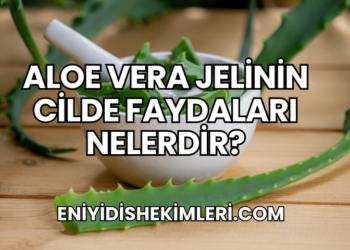Aloe Vera Jelinin Cilde Faydaları Nelerdir?
