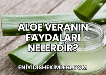 Aloe Veranın Faydaları Nelerdir?