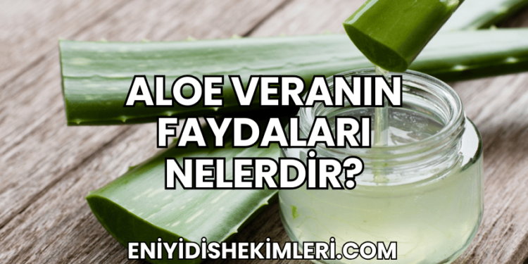 Aloe Veranın Faydaları Nelerdir?
