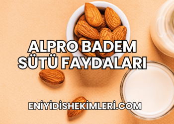 Alpro Badem Sütü Faydaları