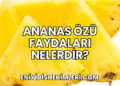 Ananas Özü Faydaları Nelerdir?