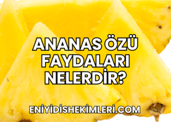 Ananas Özü Faydaları Nelerdir?