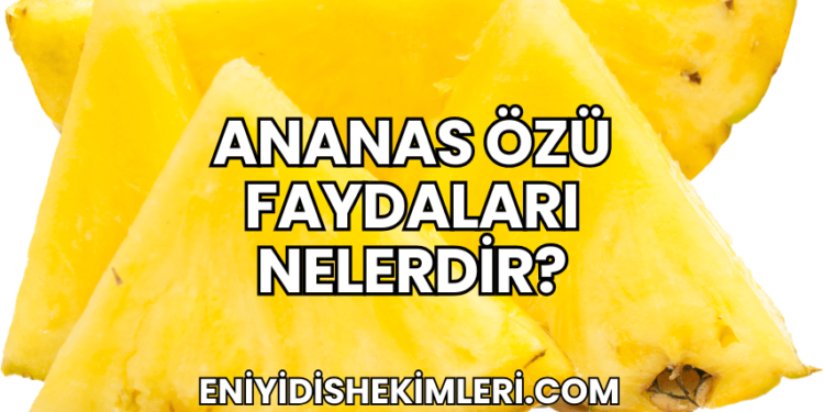 Ananas Özü Faydaları Nelerdir?
