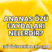 Ananas Özü Faydaları Nelerdir?