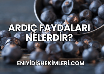 Ardıç Faydaları Nelerdir?