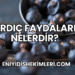 Ardıç Faydaları Nelerdir?