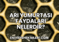 Arı Yumurtası Faydaları Nelerdir?