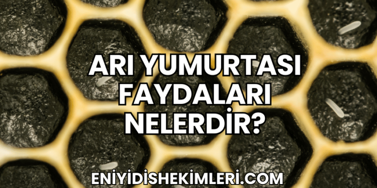 Arı Yumurtası Faydaları Nelerdir?