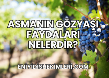 Asmanın Gözyaşı Faydaları Nelerdir?