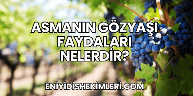 Asmanın Gözyaşı Faydaları Nelerdir?