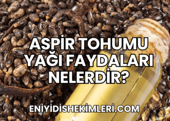 Aspir Tohumu Yağı Faydaları Nelerdir?