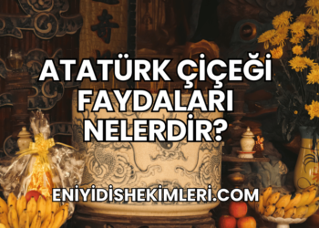 Atatürk Çiçeği Faydaları Nelerdir?