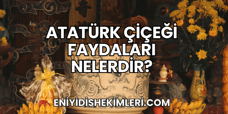 Atatürk Çiçeği Faydaları Nelerdir?